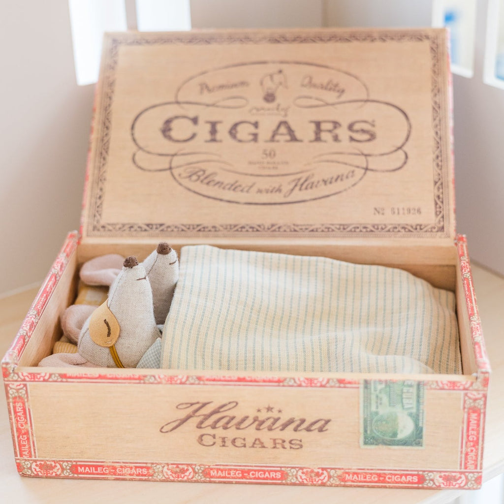 Mum and Dad mouse in a cigarbox sleeping