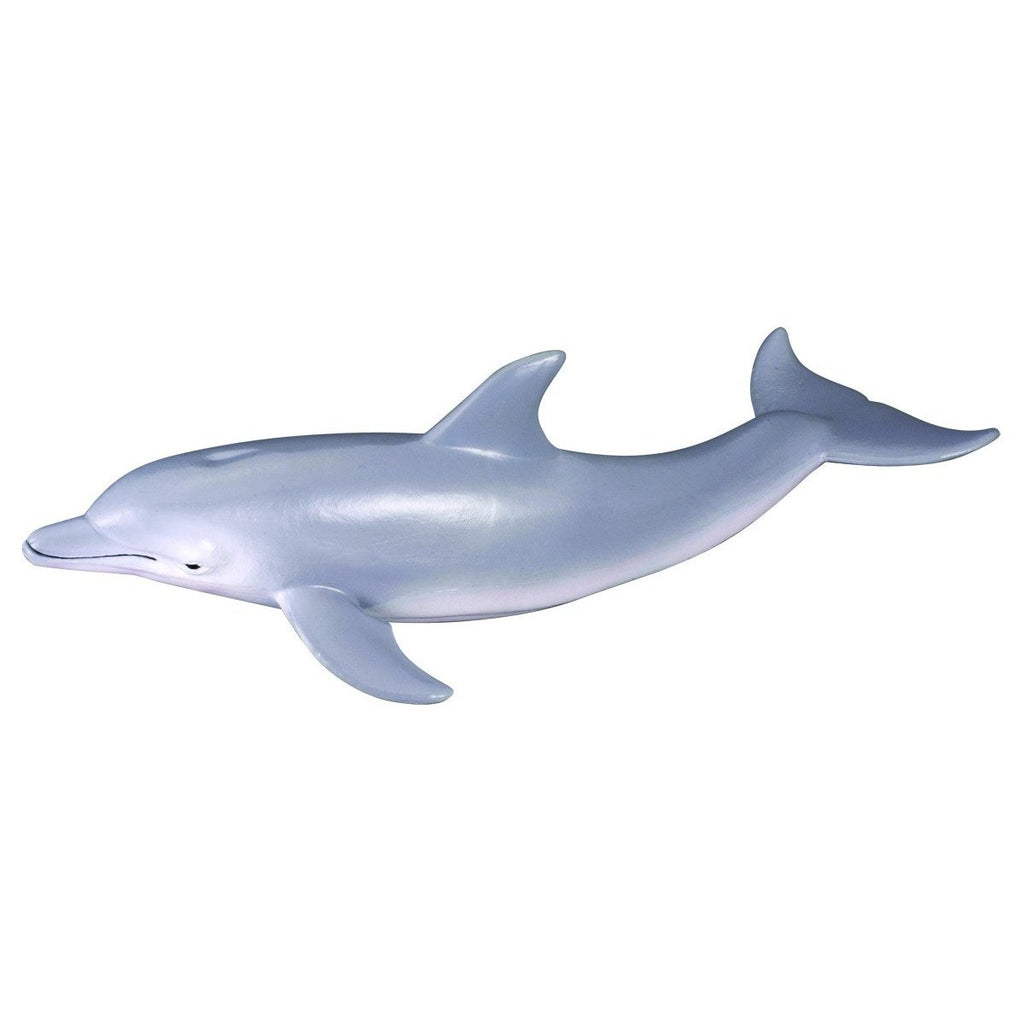 CollectA - Bailey the Bottlenose Dolphin - CollectA - The Creative Toy Shop