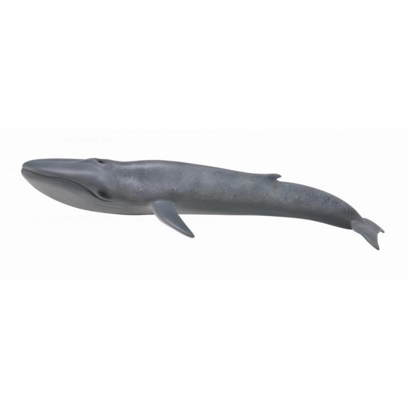 CollectA - Blanchard the Blue Whale - CollectA - The Creative Toy Shop