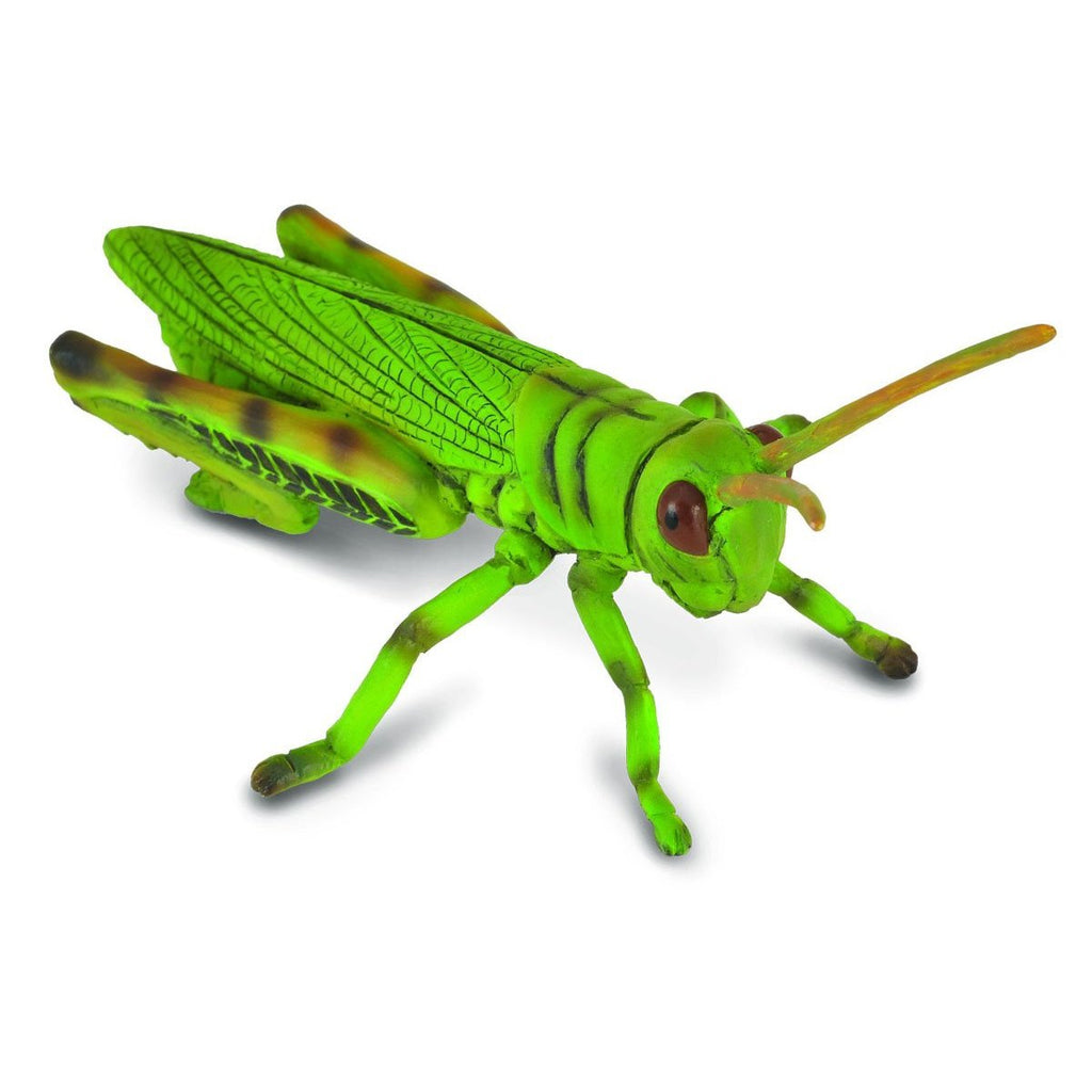 CollectA -  Gilbert the Grasshopper - CollectA - The Creative Toy Shop