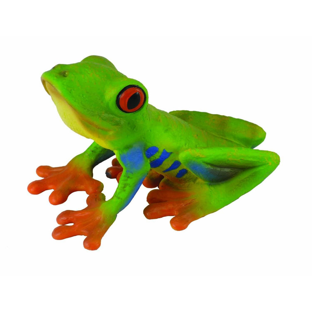 CollectA - Randy the Red-Eyed Tree Frog - CollectA - The Creative Toy Shop