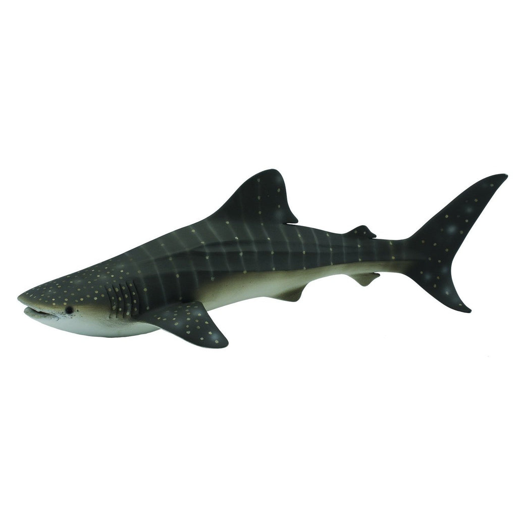 CollectA - William the Whale Shark - CollectA - The Creative Toy Shop