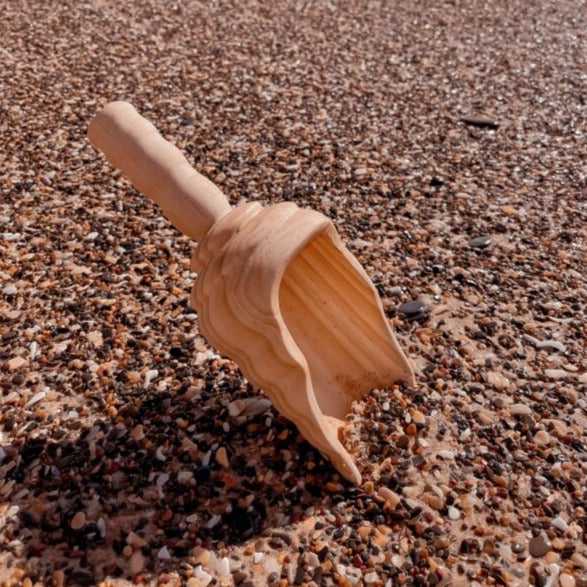 Explore nook large wooden shovel sitting in pebbly beach with waves in background