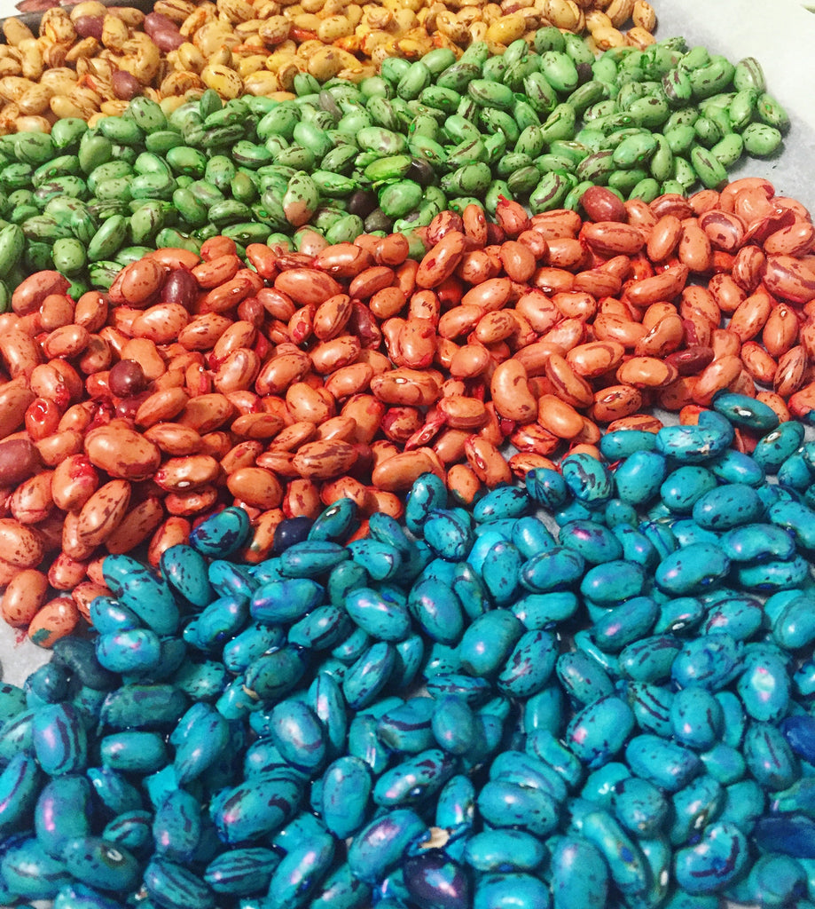 Sensory Play - Dyed Beans