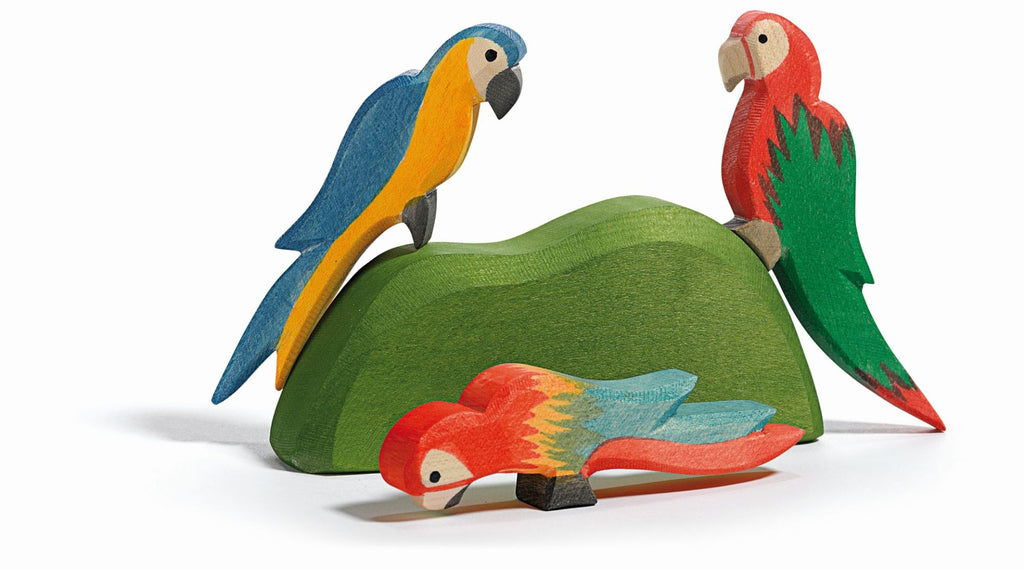 Ostheimer - Ostheimer Parrot Multicolour