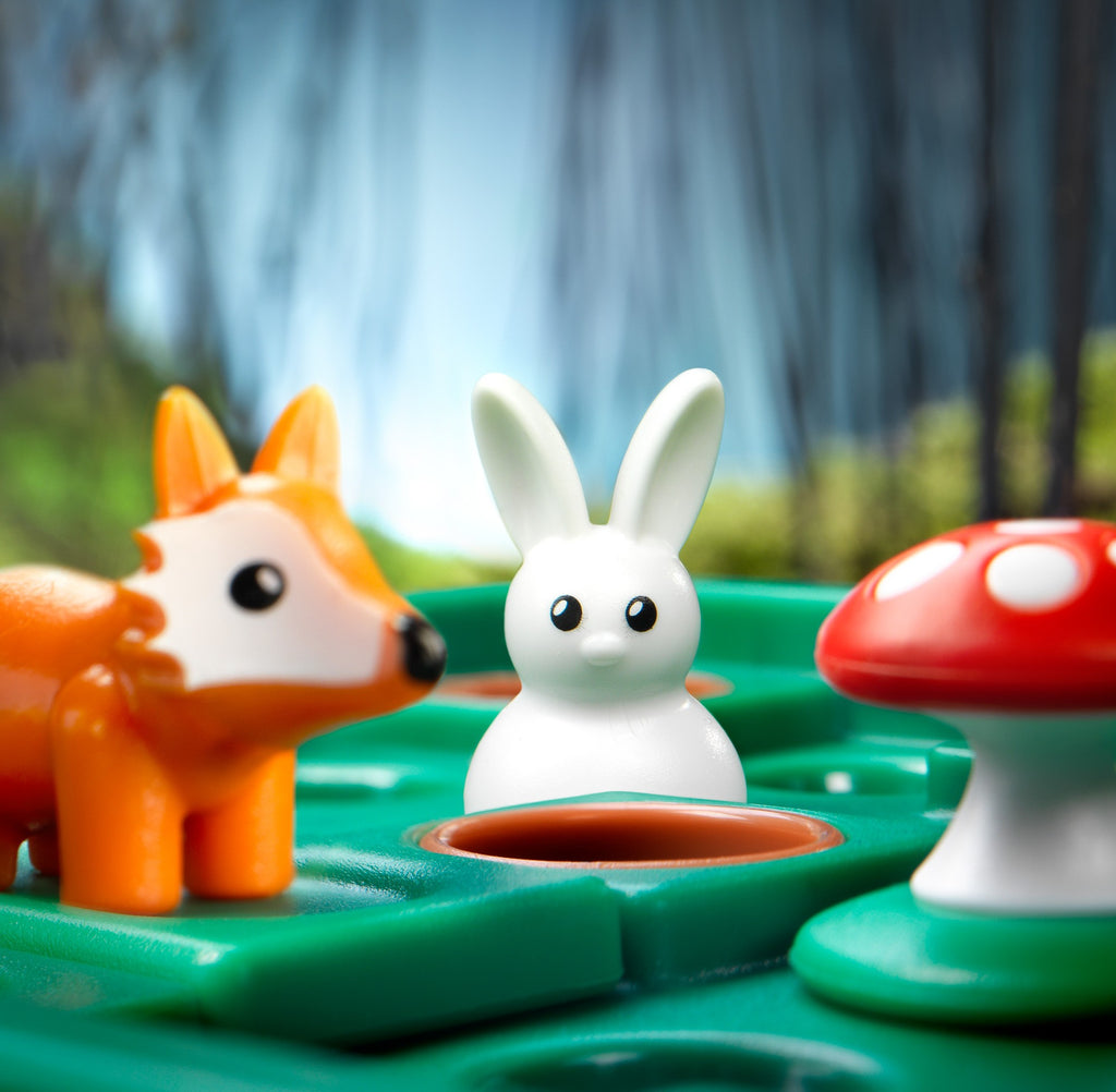 Smart Games - Jump In – The Creative Toy Shop
