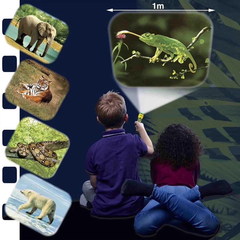 Brainstorm Toys - Torch and Projector - Animal
