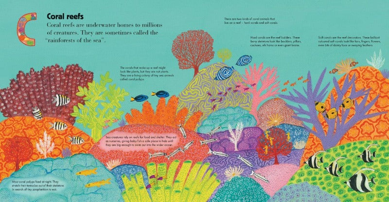 Book -  A is for Australian Reefs (Hardcover)