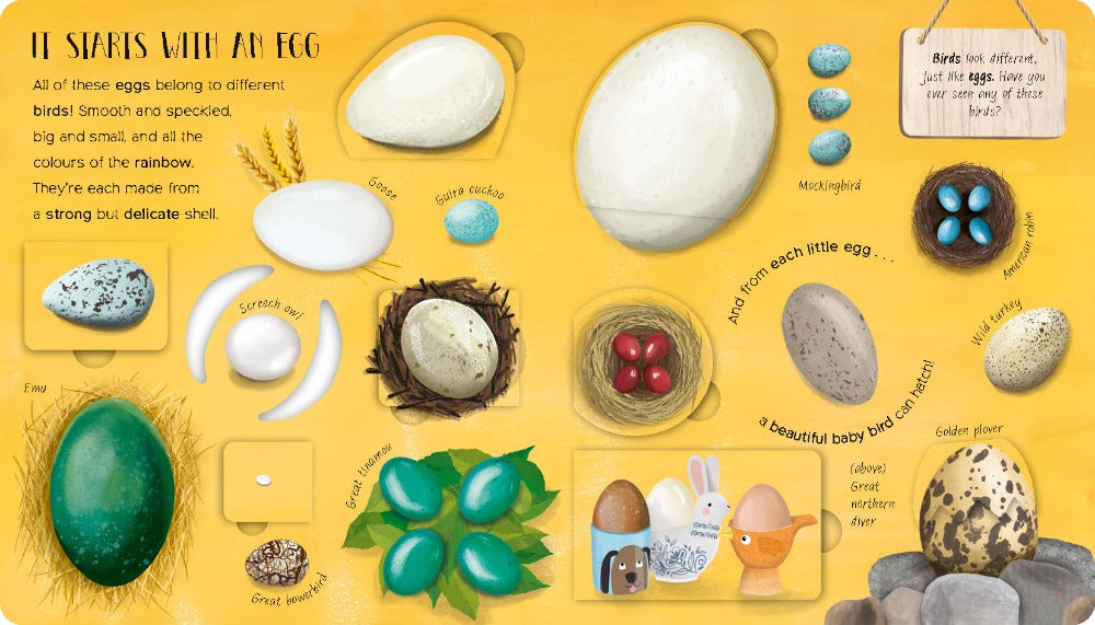 Book -  One Little Egg - Lift the Flap (Board Book)