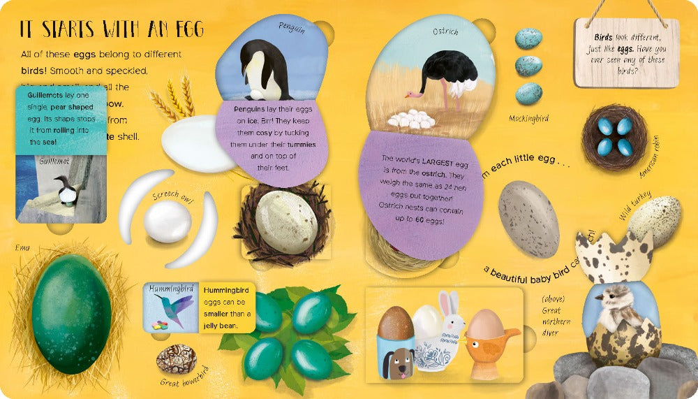 Book -  One Little Egg - Lift the Flap (Board Book)