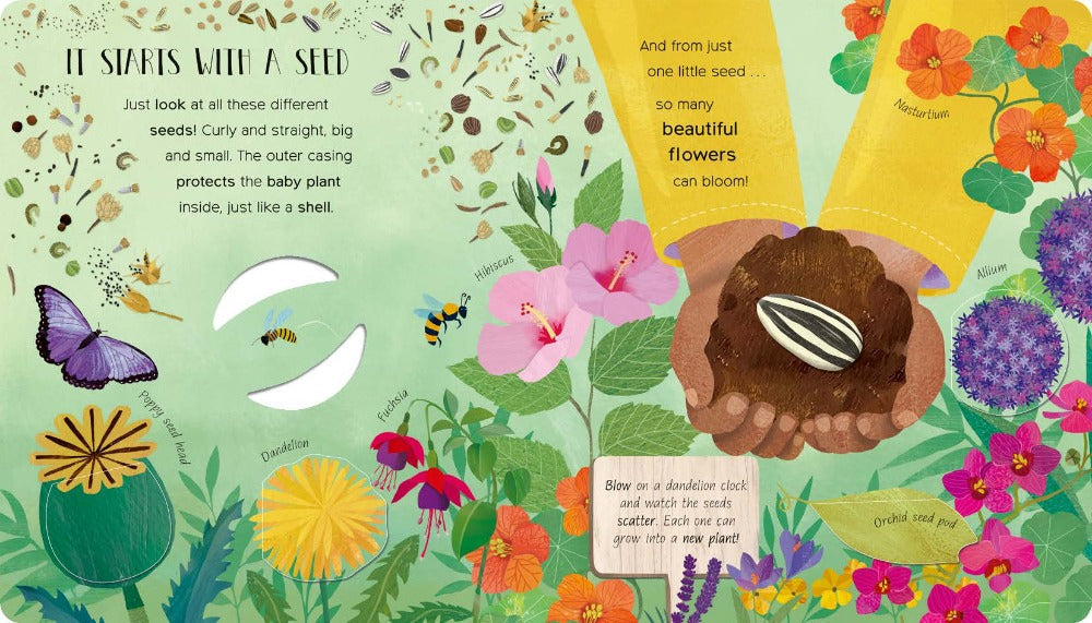 Book -  One Little Seed - Lift the Flap (Board Book)