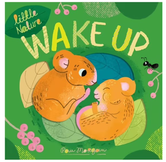 Book -  Wake Up (Board Book)