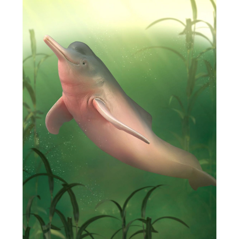 CollectA -  Ada the Amazon River Dolphin