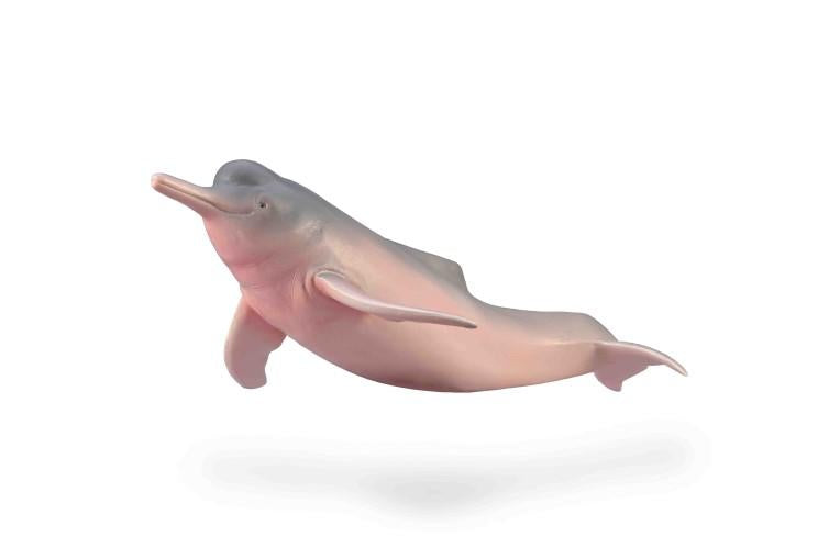 CollectA -  Ada the Amazon River Dolphin