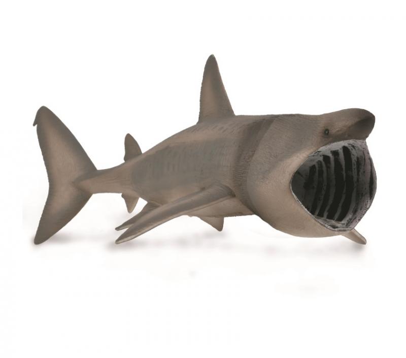 CollectA - Boaz the Basking Shark