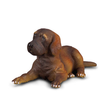 CollectA - Gilbret the Great Dane Puppy