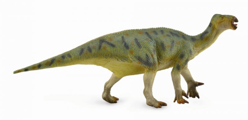 CollectA -  Iggy the Iguanodon - Deluxe 1:40 Scale