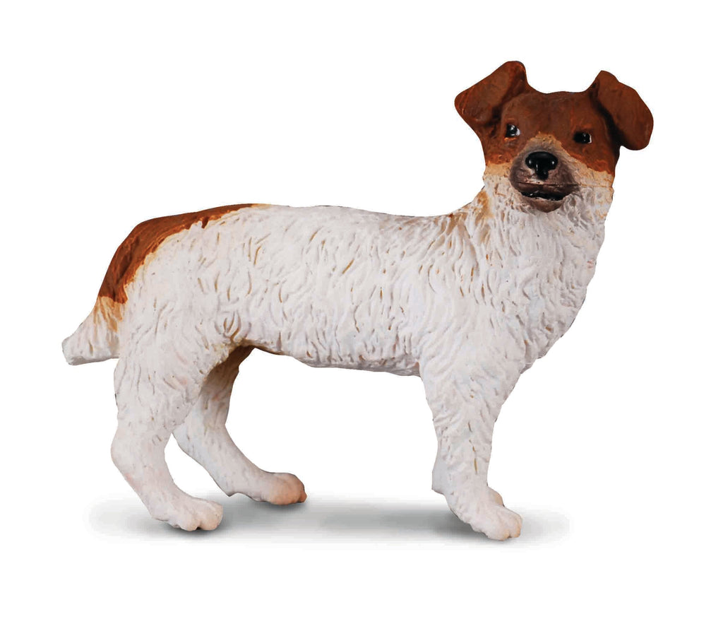 CollectA - Jeff the Jack Russel Terrier