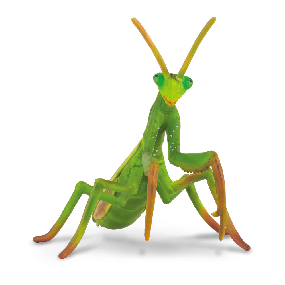 CollectA -  Percy the Praying Mantis