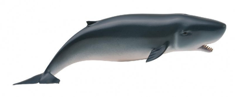 CollectA - Polly the Pygmy Sperm Whale