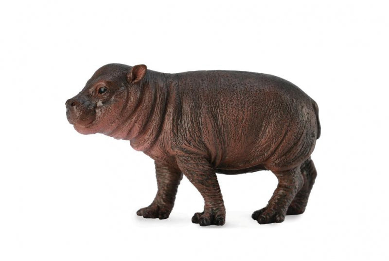 CollectA - Presley the Pygmy Hippopotamus Calf