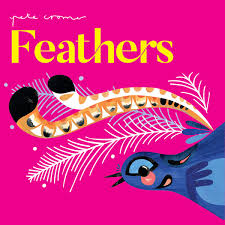 Book - Feathers (Board Book)