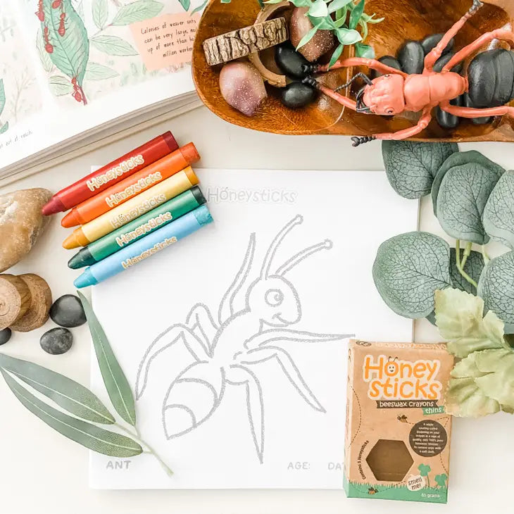 Honeysticks - Thin Crayons (8pk) – The Creative Toy Shop