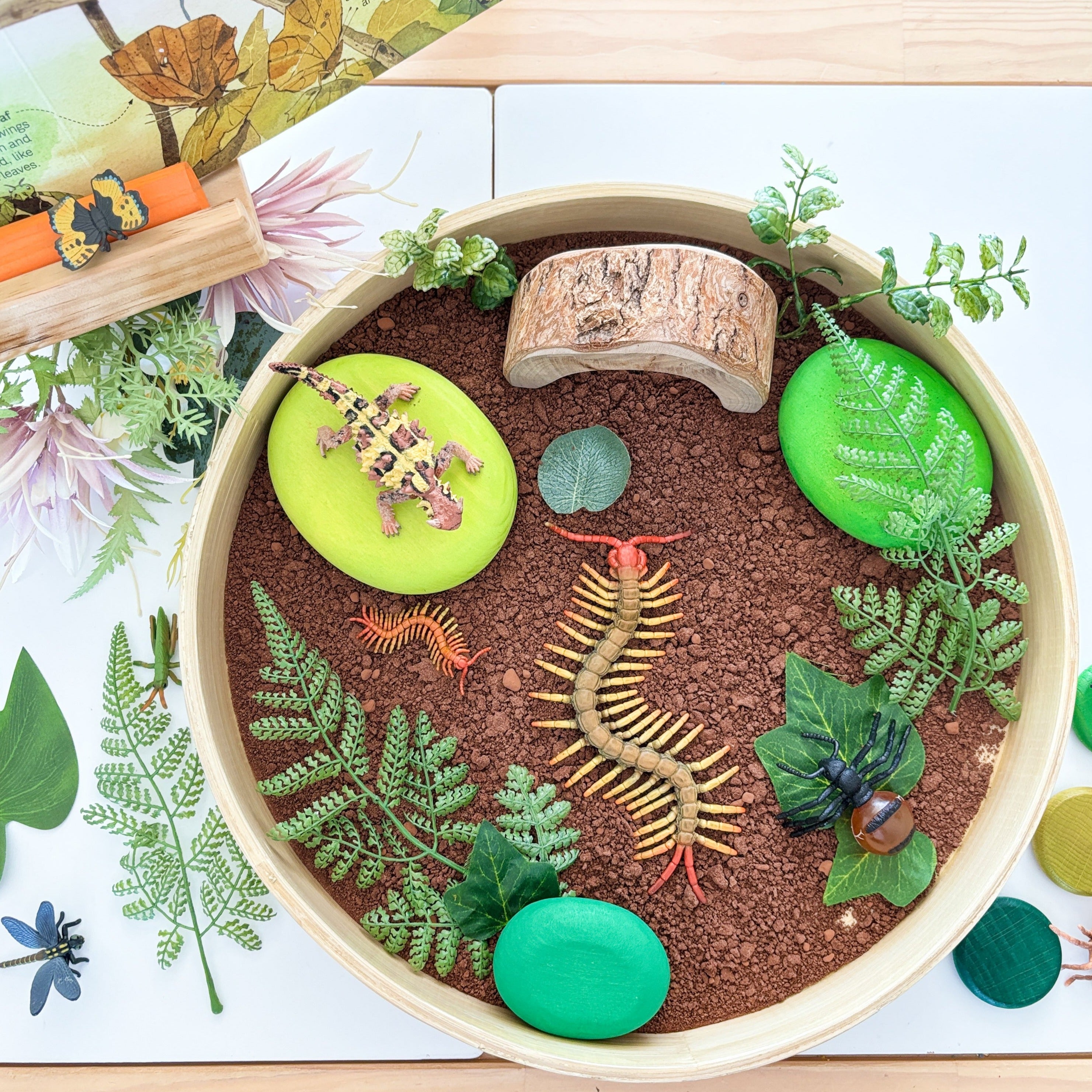 CollectA Animal Subscription Box – The Creative Toy Shop