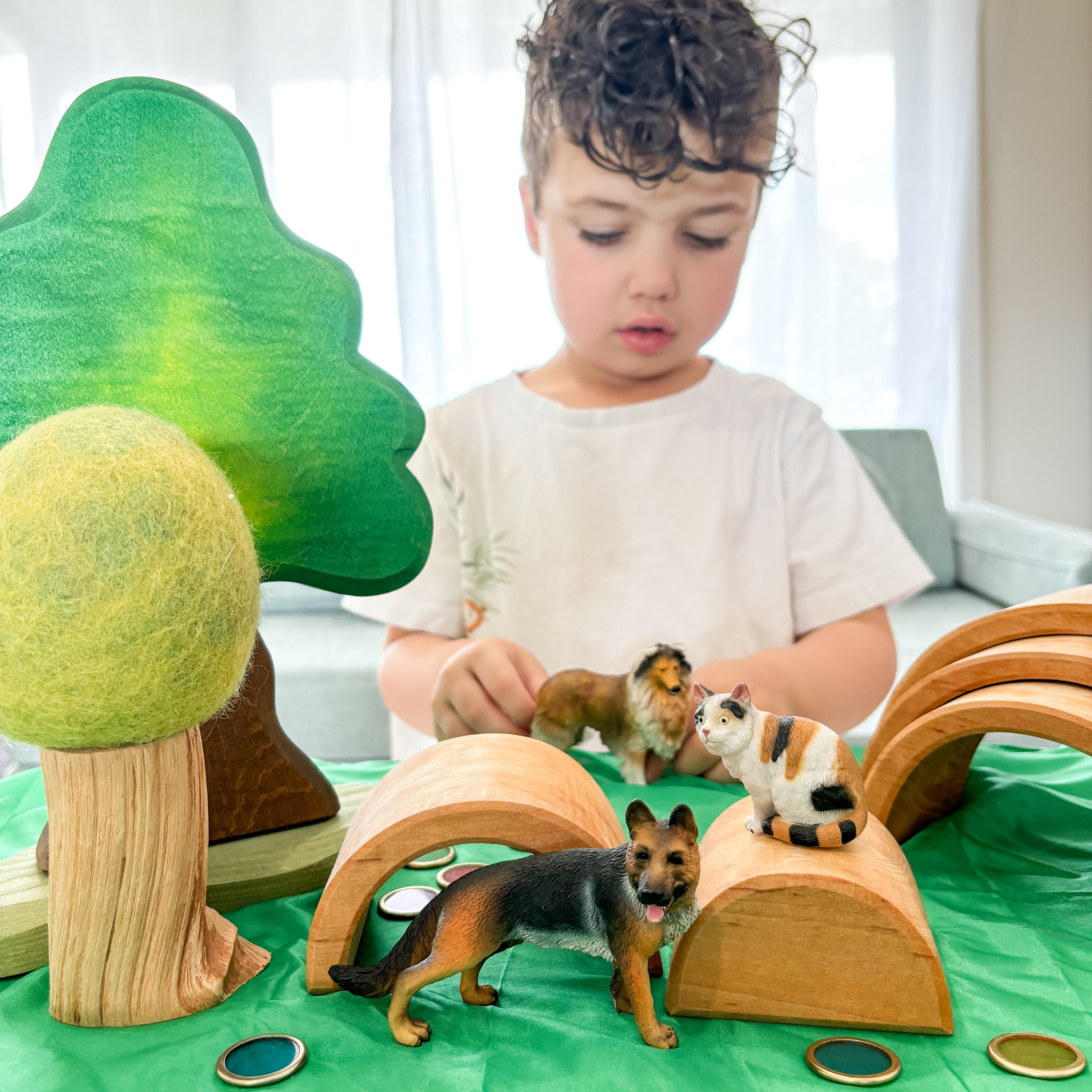 Collecta Store CollectA Animal Subscription Box – The Creative Toy Shop