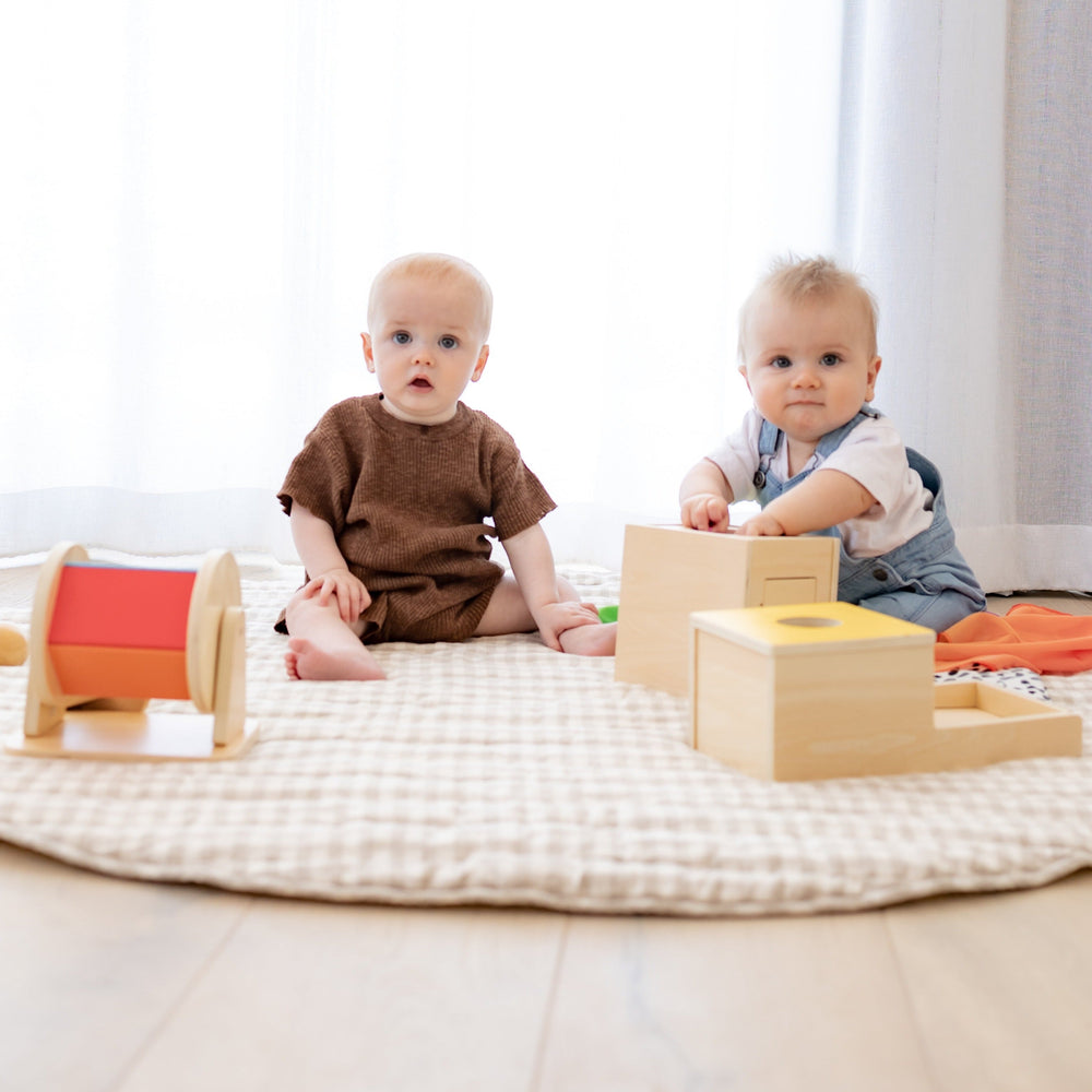 Toddlers sitting on rug with Totli montessori toys