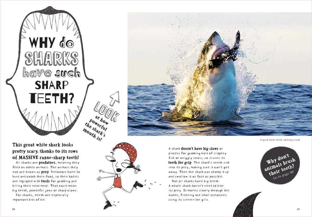 Book - Why Don't Fish Drown? (Hard Cover)