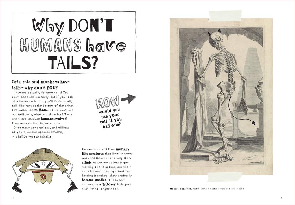 Book - Why Don't Fish Drown? (Hard Cover)