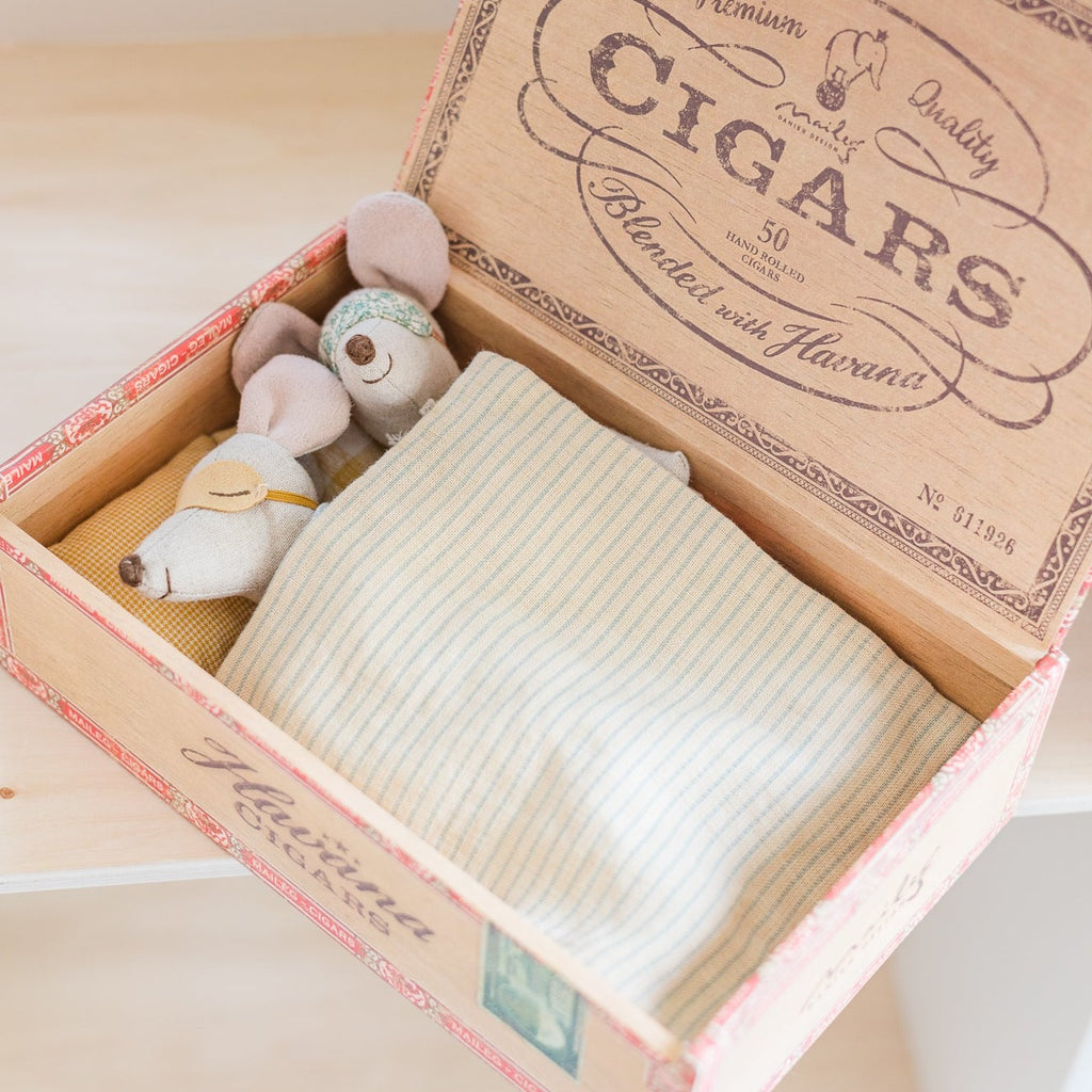 Mum and Dad mouse in a cigarbox sleeping