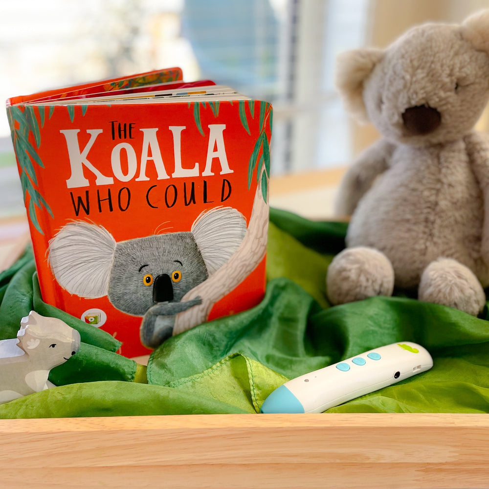 The Koala who could book in 0-2 little readers book subscription box 