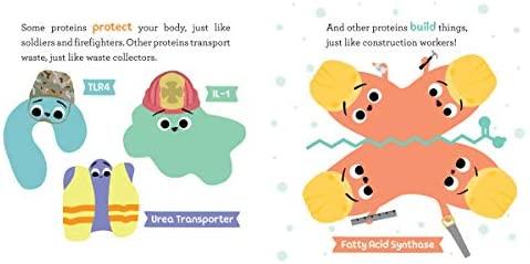 Book - Baby Biochemist: Proteins