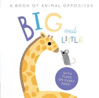 Book - Big and Little