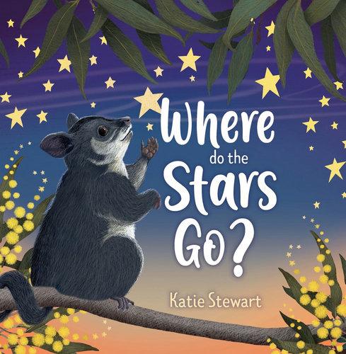 Book - Where Do The Stars Go?