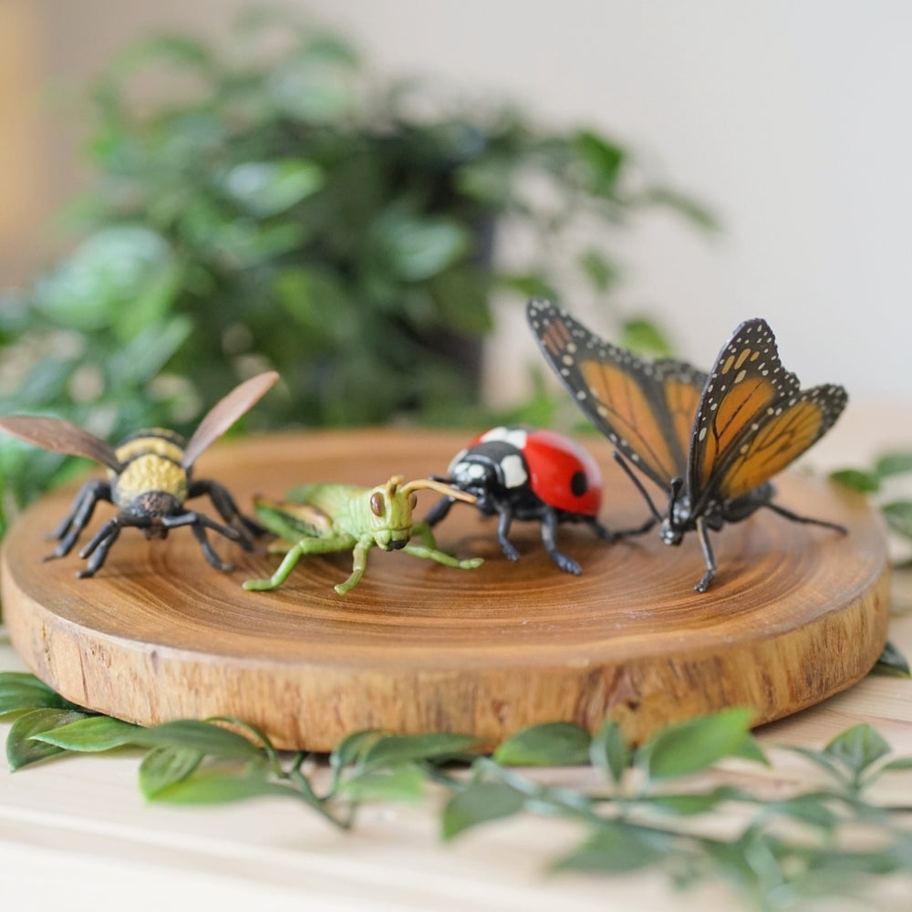 Insect themed on wooden block
