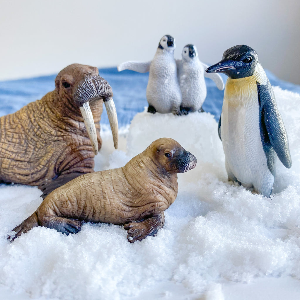 Nature's flurry snow with CollectA arctic animals played with by child