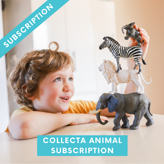 CollectA Animal Subscription Box