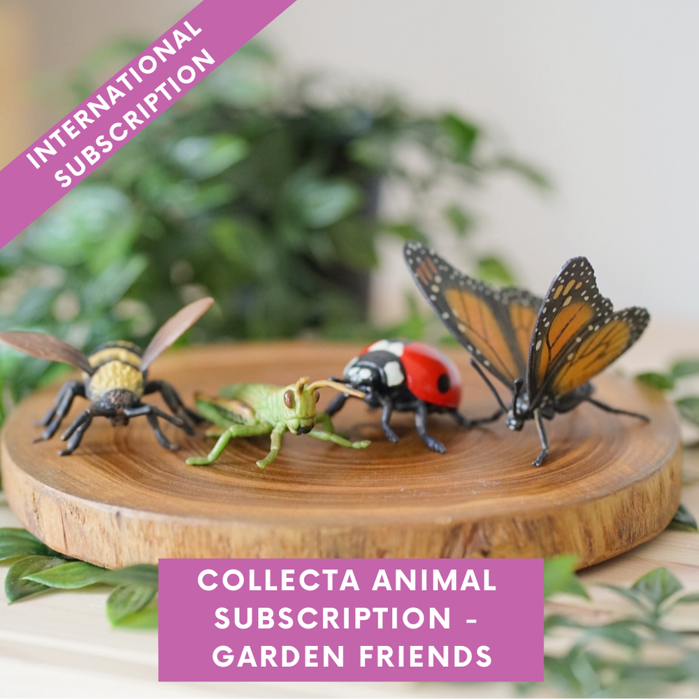 CollectA Animal Subscription Box -  Garden Friends (International Shipping)