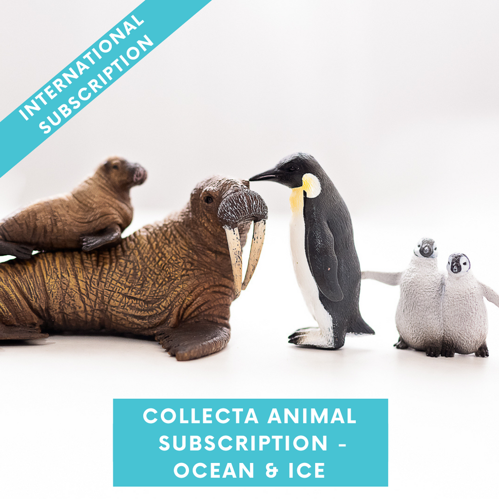 CollectA Animal Subscription Box - Ocean & Ice (International Shipping)