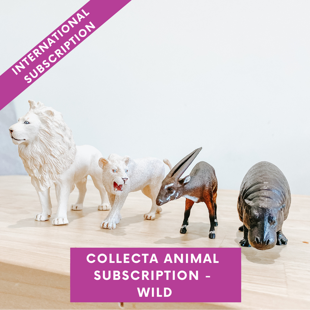 CollectA Animal Subscription Box -  Wild (International Shipping)