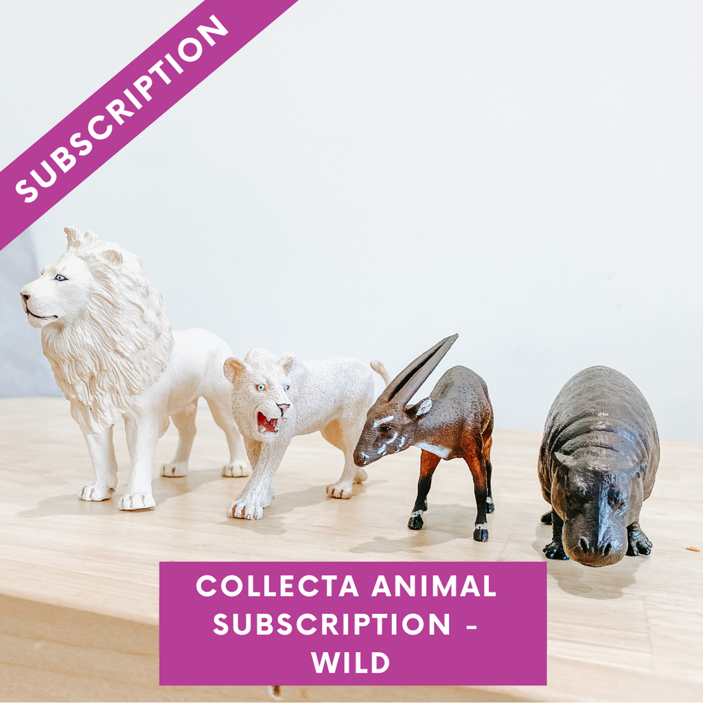 CollectA Animal Subscription Box -  Wild