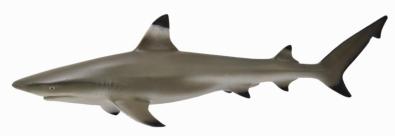 CollectA -  Bianca the Black Tip Reef Shark