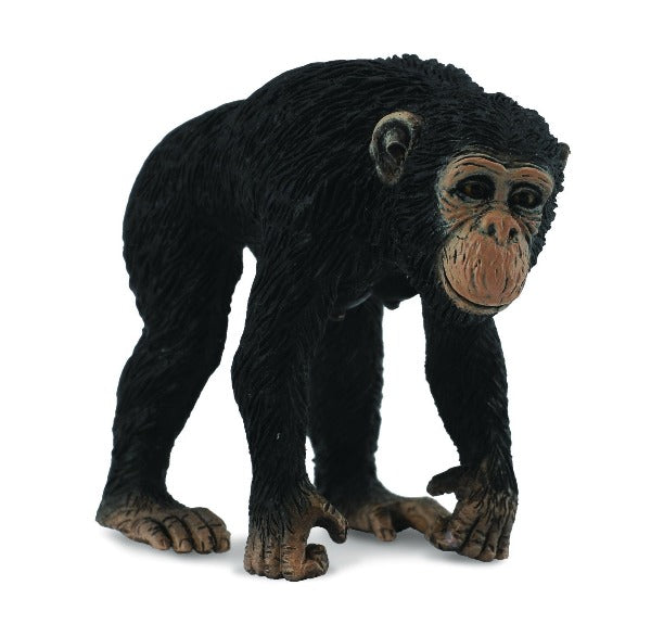 CollectA - Clara the Chimpanzee Female