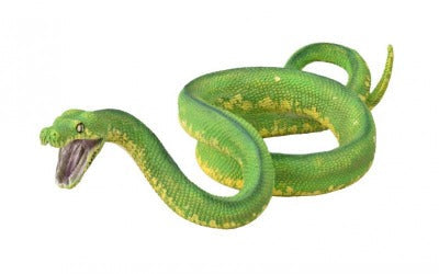 CollectA - Gabriella the Green Tree Python
