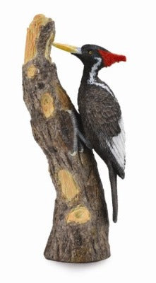CollectA - Isla the Ivory-Billed Woodpecker