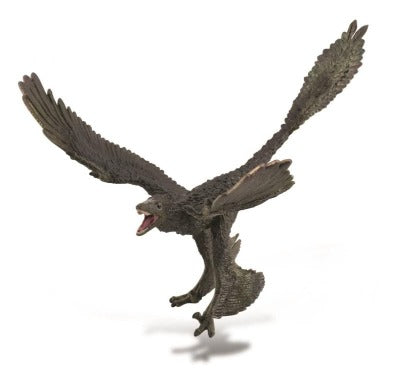 CollectA - Dinosaur - Miguel the Microraptor