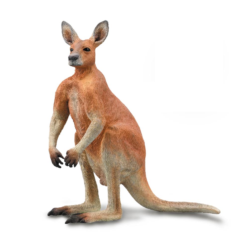 CollectA - Rett the Red Kangaroo Male